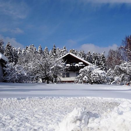Holiday Home In Lossburg Near The Ski Area Exteriör bild