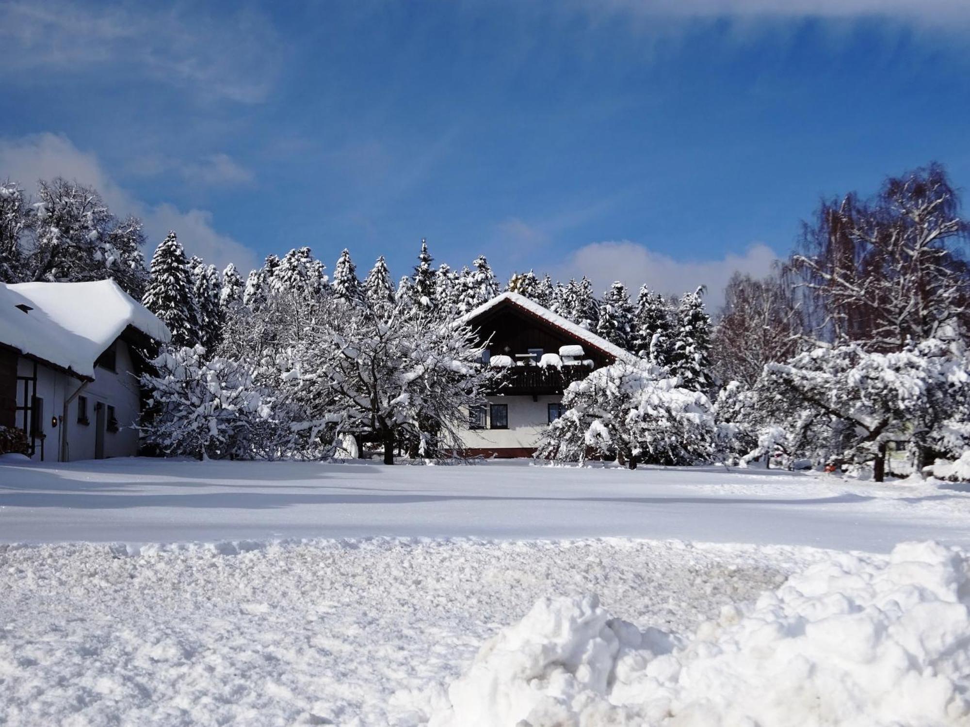 Holiday Home In Lossburg Near The Ski Area Exteriör bild